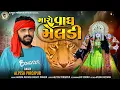Download Lagu Alpesh Pirojpur || Maro Vagh Meldi || New letest Gujarati song || @bapjistudio_in