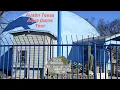 The Aqua Dome Fish Store Tour of Austin Texas
