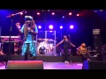 Steel Pulse - Your House - live in France 2015