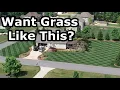 What GRASS SEED is Best for YOU