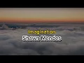 Imagination - Shawn Mendes (Lirik dan Terjemahan)