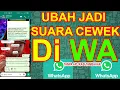 Download Lagu CARA MERUBAH SUARA LAKI LAKI MENJADI PEREMPUAN DI VOICE NOTE WHATSAPP || MERUBAH PESAN SUARA WA