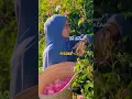 Download Lagu Pesona Gadis Arab Baduy