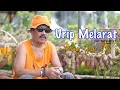 KANG JAN TS - URIP MELARAT  - [Official Music Video]