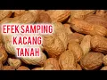 Lagu 4 EFEK SAMPING KACANG TANAH JIKA TERLALU BANYAK DIMAKAN