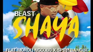 beast feat mondli ngcobo u0026 spiritbanger shaya official audio 
