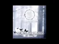 Ne Obliviscaris - As Icicles Fall