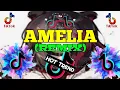 Download Lagu AMELIA (Remix) - Besa Kokedhima | Budots Remix | Tiktok Dance Trend | Roxas Music Mix Official