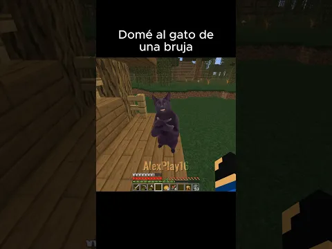 Domé al Gato de una Bruja #minecraft #minecraftmemes