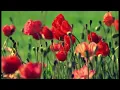 Download Lagu Musik Relaksasi Diiringi Suara Hujan Yang Menenangkan-Relaxation Music Accompanied By Soothing Rain