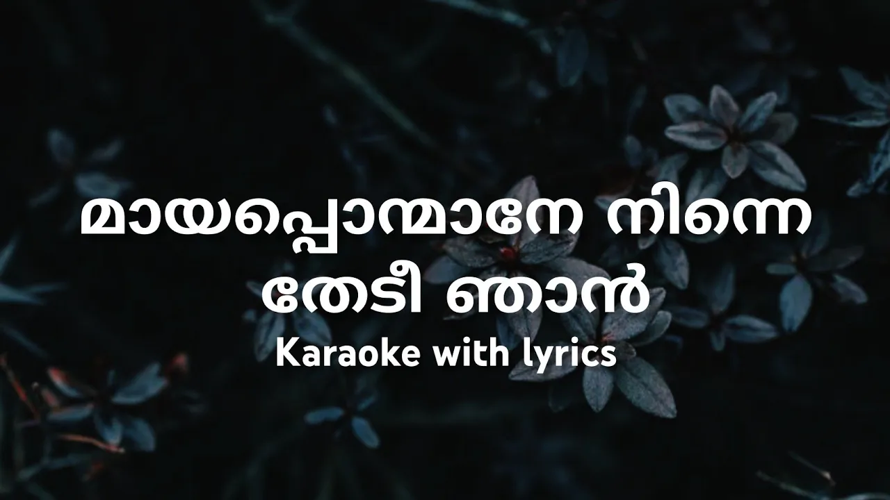 Maya ponamane ninne thedi njan Karaoke with lyrics | Thalayanamanthram