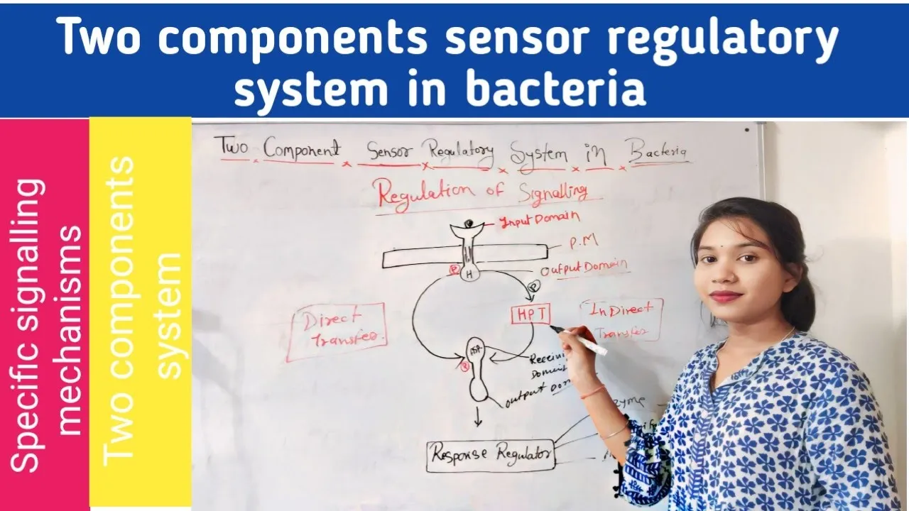 Two components sensor regulatory system in bacteria in hindi || two components system || in plants