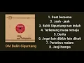 Download Lagu Kumpulan Lagu Orkes Melayu Bukit Siguntang.