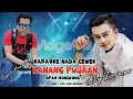 Download Lagu LANANG PUJAAN - ( OPAH HONGKONG ) - KARAOKE - NADA CEWEK - ORIGINAL - ALY ZOVANO