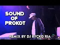 Lagu SOUND OF PROKOT [ REMIX BY RR-RYCKO RIA ]