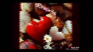 مافيش في الدنيا حاجه شيماء شايب 