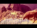 Tungevaag - Peru