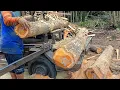 Download Lagu Kayu Jati Kebun Tua‼️Di Rajang Gergaji Mesin Bandsaw Rakitan