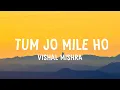 Lagu Vishal Mishra - Tum Jo Mile Ho (Lyrics)
