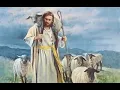 20th Sunday in Ordinary Time