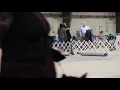 Apexx Akitas in competition