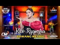 Download Lagu BAWANG MERAH - KIKI RYANZA - PUTRA BISMA 