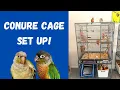 How to Set Up A Conure Cage Parrot Cage Ideas TheParrotTeacher