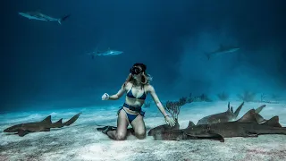 Leaving NASSAU, DIVING With SHARKS, Our DRONE CRASHES, And We SAIL To Staniel Cay [S2:E32]