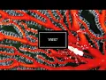VSE07