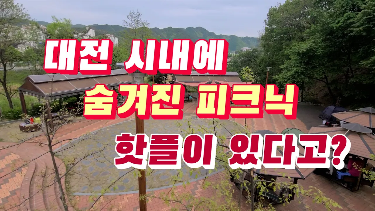 대전 시내 숨겨진 피크닉 핫플에서 차크닉 피크닉 | 차박 미나리삼겹살 나들이 썸네일