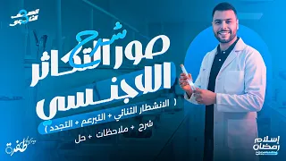 شرح الانشطار الثنائي والتبرعم والتجدد أحياء ثانوية عامة 2026 مستر إسلام رمضان 