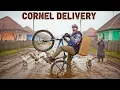 Lagu Cornel Delivery (Surpriză la final) #3chestii