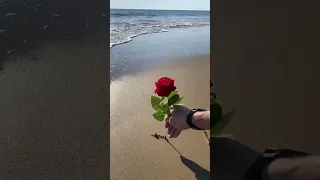 اسم ريم على الرمل شاهد الجمال  اسم ريم على الرمل شاهد الجمال