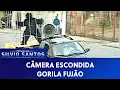 Download Lagu Gorila Fujão | Câmeras Escondidas (11/07/21)