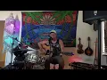 Kids by MGMT (Solo Bluegrass version by Clayton Young)