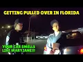 When Florida Cops Think You Have Mary Jane - Bradenton Florida