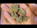 Blue Spring Cookies 27 its DANK