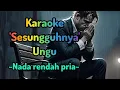 Download Lagu Karaoke Sesungguhnya by Ungu, nada rendah pria