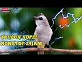 Download Lagu ROPELAN PANJANG TRUCUKAN JUWARA nonstop gacor siang malam