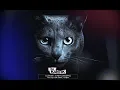 Download Lagu Dj Kantik - Marvi (Original Mix)