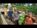 Download Lagu Wow Luar Biasa Pernikahan Viral Bawa Sapi Idaman Semua Wanita Di Kampung Kersamanah Garut