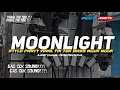 DJ MOONLIGHT PARTY STYLE VIRAL TIK TOK BY PETRIK FDRCTN RMX
