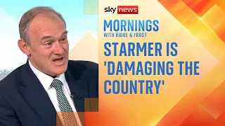 labour mps need to reflect really hard on the mandelson scandal says ed davey