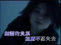 許美靜 - 明知故犯