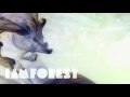 iamforest - iamforest LP - Your Lights (live)