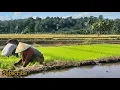 Download Lagu Lagu Batak | Nasib sibari-bari | #LAGUbatakSedih |#LaguBatak