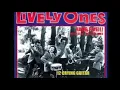 The Lively Ones Crying Guitar (Surfer's Lament) Backing Track