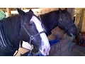 CT DJ Kurt Entertainment - DJ Kurts Review Wood Acres Farm 2015
