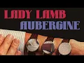 Lady Lamb - Aubergine (karaoke)