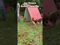 Joe Brown Kelso Amarillos